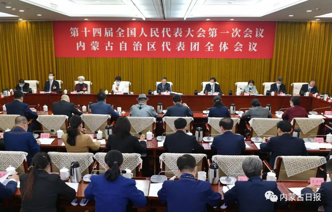 0306内蒙古代表团审议政府工作报告 孙绍骋主持并发言 王莉霞参加审议.jpg